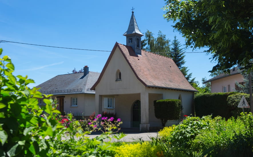 Le vignoble de la Cote 425