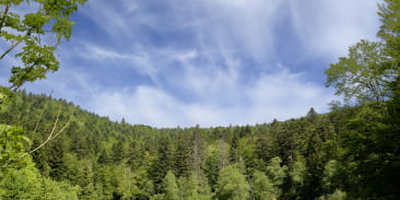 La vallée de la Savoureuse