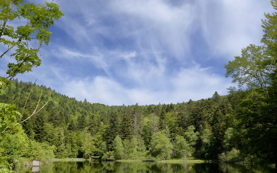 La vallée de la Savoureuse