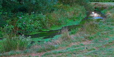 La vallée de la Horn