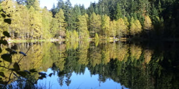 Lac de la Maix