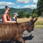 Cham'Vosges Aventures - Randonnée avec des ânes