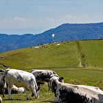 Balade famille - La chaume du Drumont