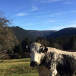 Ferme des Plombes