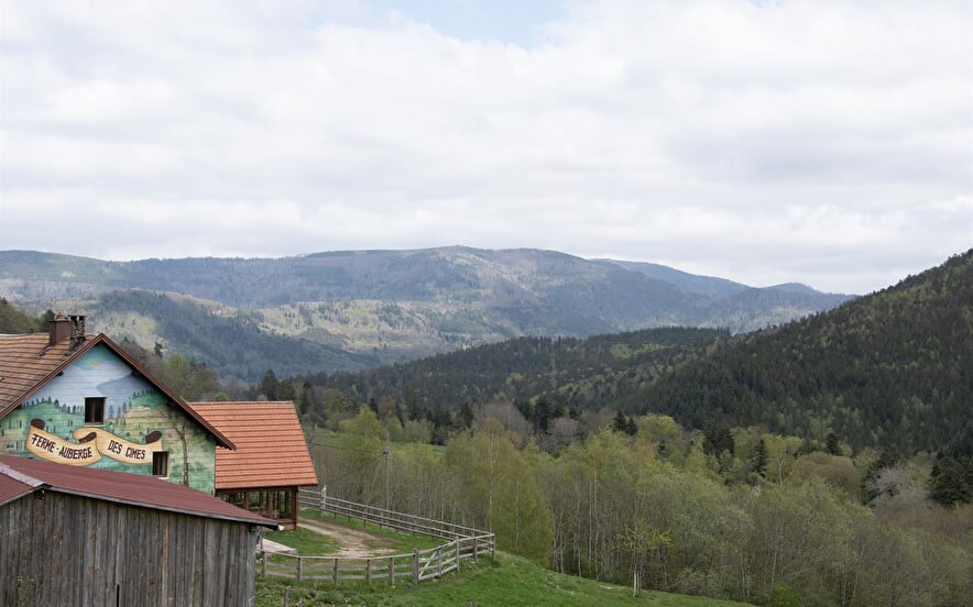 Ferme-Auberge Les Cimes
