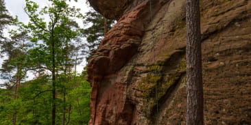 L'escalade nature