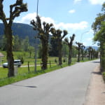 Randoland Bussang centre
