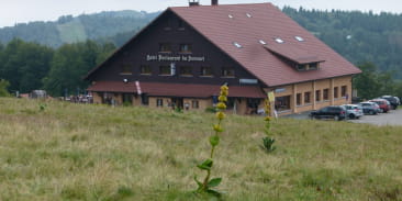 Hôtel-restaurant du Sommet