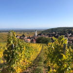 Randonnée vignes et vins