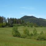 La clairière du Hang