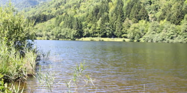 Pêche au lac de Sewen