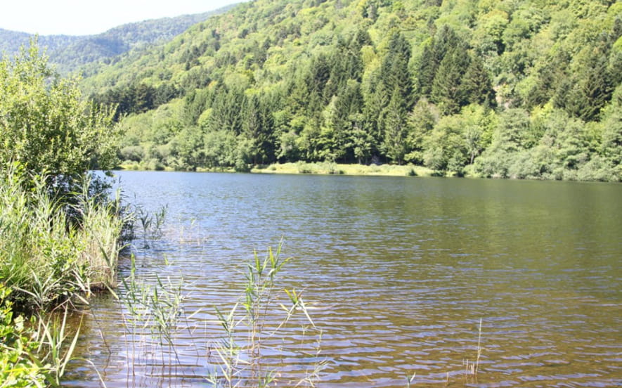 Pêche au lac de Sewen