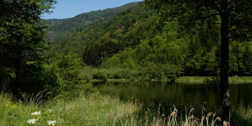 Lac de Sewen