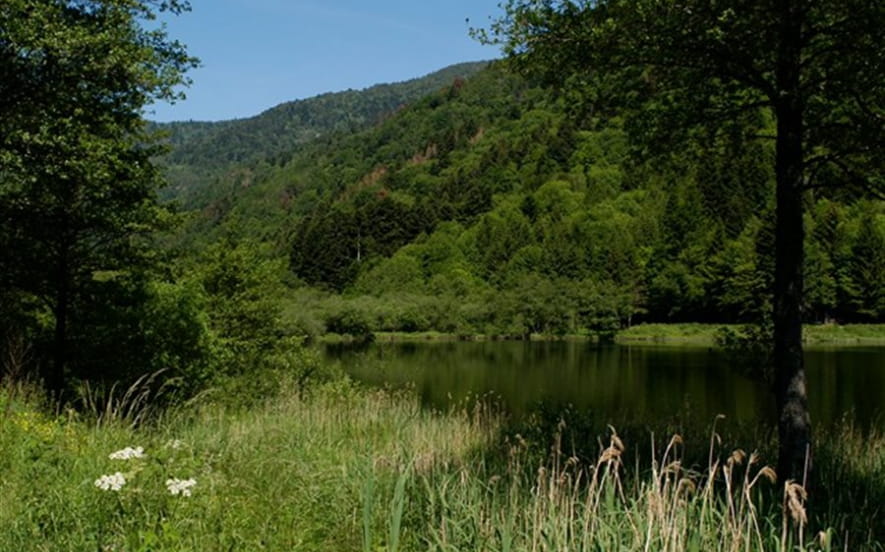 Lac de Sewen