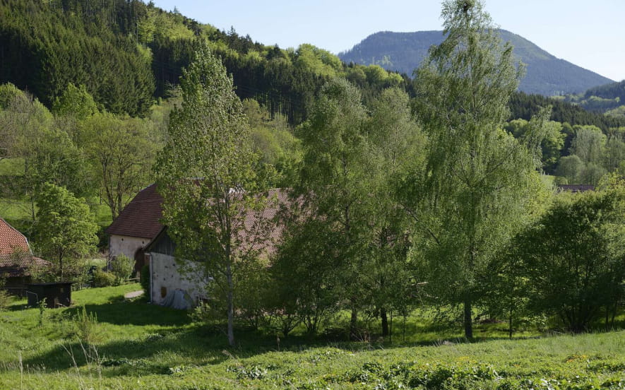 Circuit poussettes C01 : A travers le village de Plaine