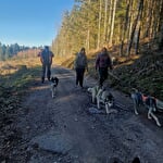 Cani-rando L'Arche Sibérienne