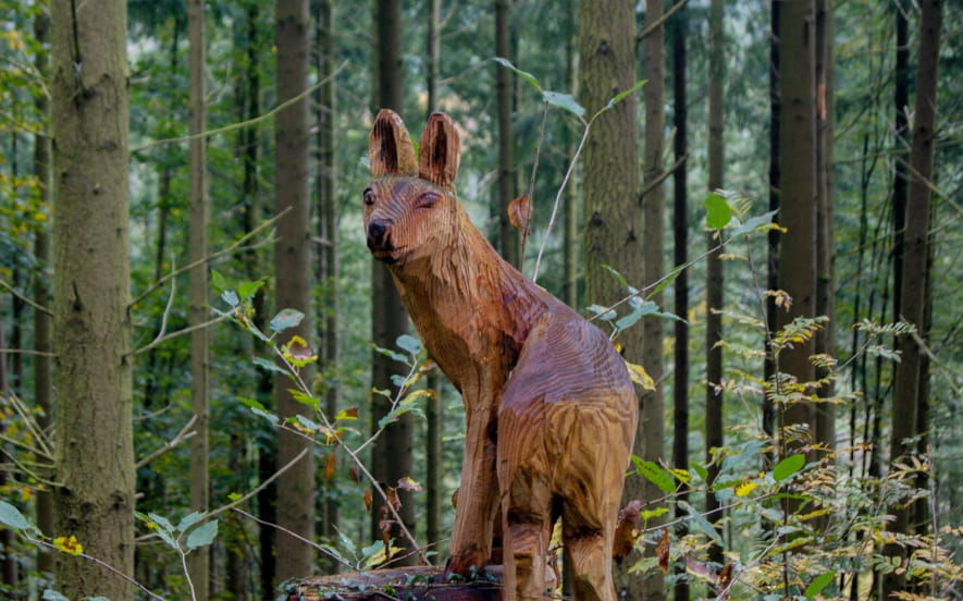 Balade famille : Le sentier de la forêt enchantée à Fouday