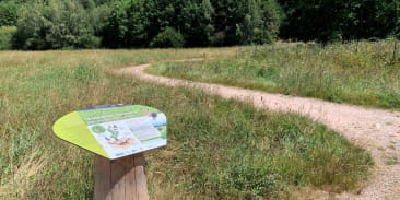 La zone humide de la moutière  - la prairie à azuré des paluds