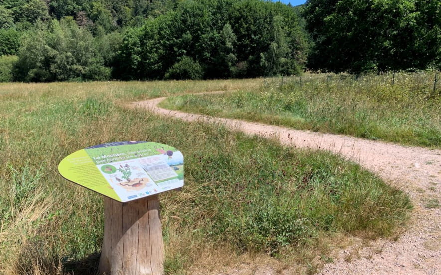 La zone humide de la moutière  - la prairie à azuré des paluds