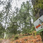 Circuit pédestre - Le Sentier du Sagard