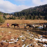 Crins des Vosges - monitrice équestre