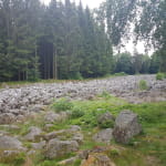 Champ de roches