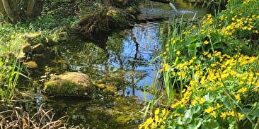 Journée d’immersion en terre Boudhiste dans un temple Zen en Alsace