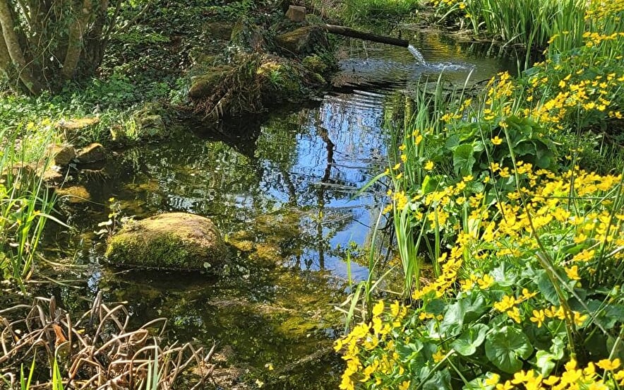 Journée d’immersion en terre Boudhiste dans un temple Zen en Alsace