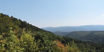 Point de vue aux ruines du Hohenstein