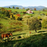 Le Patrimoine agricole et forestier