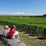 Balade famille - Château et vignoble