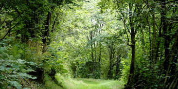 Circuit rando C09 : Le sentier panoramique