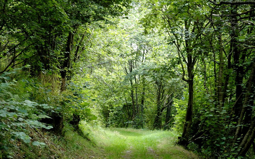 Circuit rando C09 : Le sentier panoramique