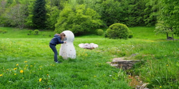 La source de l'Ill