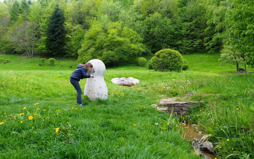 La source de l'Ill
