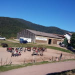 Centre hippique du Ballon d'Alsace - La Jumenterie