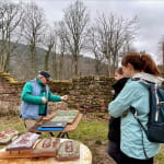 Châteaux d’Ottrott : les secrets d’une restauration