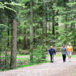 Massif du Kemberg