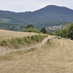 Sentier poussette - Les prairies de Neuve-Eglise