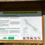 La réserve biologique intégrale du Kertoff