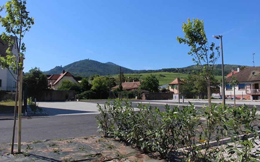 Aire de camping-car Cave de Ribeauvillé