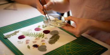Les ateliers du salon Chambard - La valse des pétales, herbier fleuri