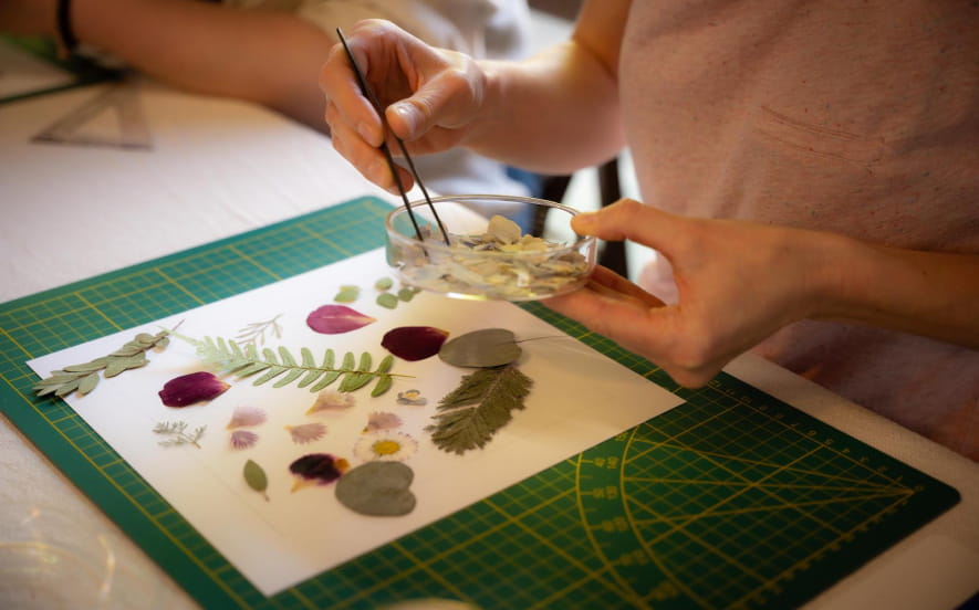 Les ateliers du salon Chambard - La valse des pétales, herbier fleuri