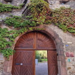 Atelier - Découvrez les millésimes anciens : terroirs d'exception