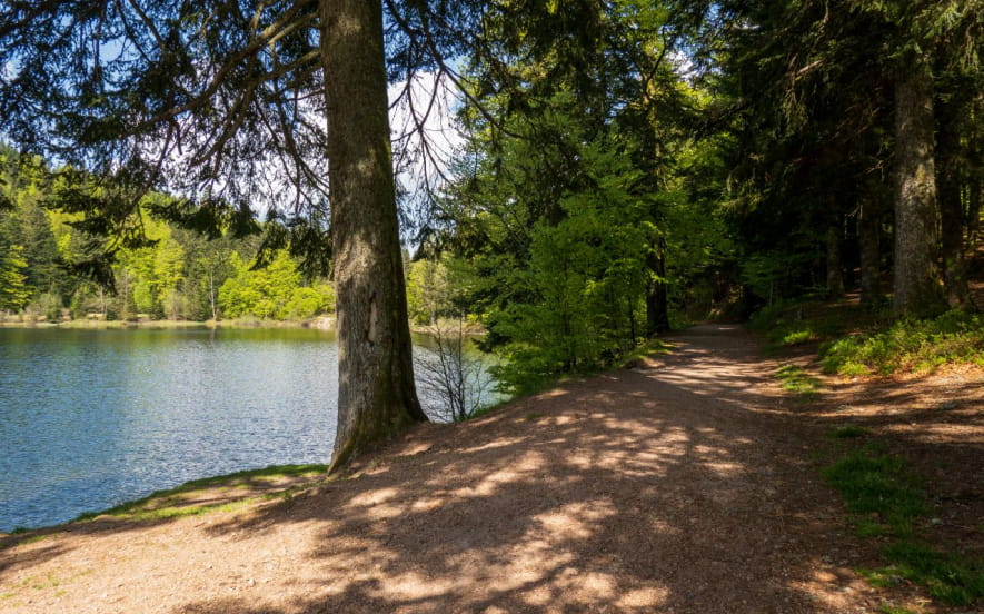 Circuit poussette tour du lac de blanchemer