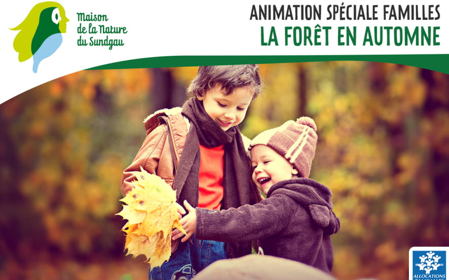 Animation spéciale familles - La forêt en automne - Dès 5 ans