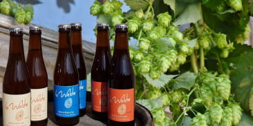 Brasserie du Pays Welche