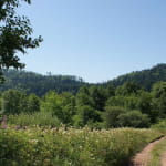 La clairière du Hang