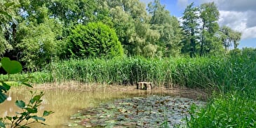 L'arboretum de la Bodenmatten