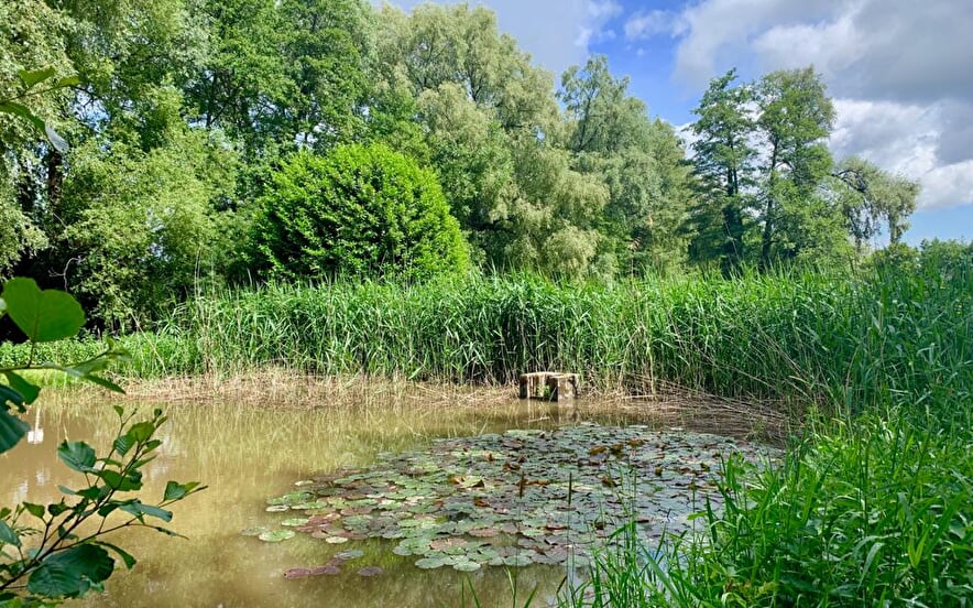 L'arboretum de la Bodenmatten